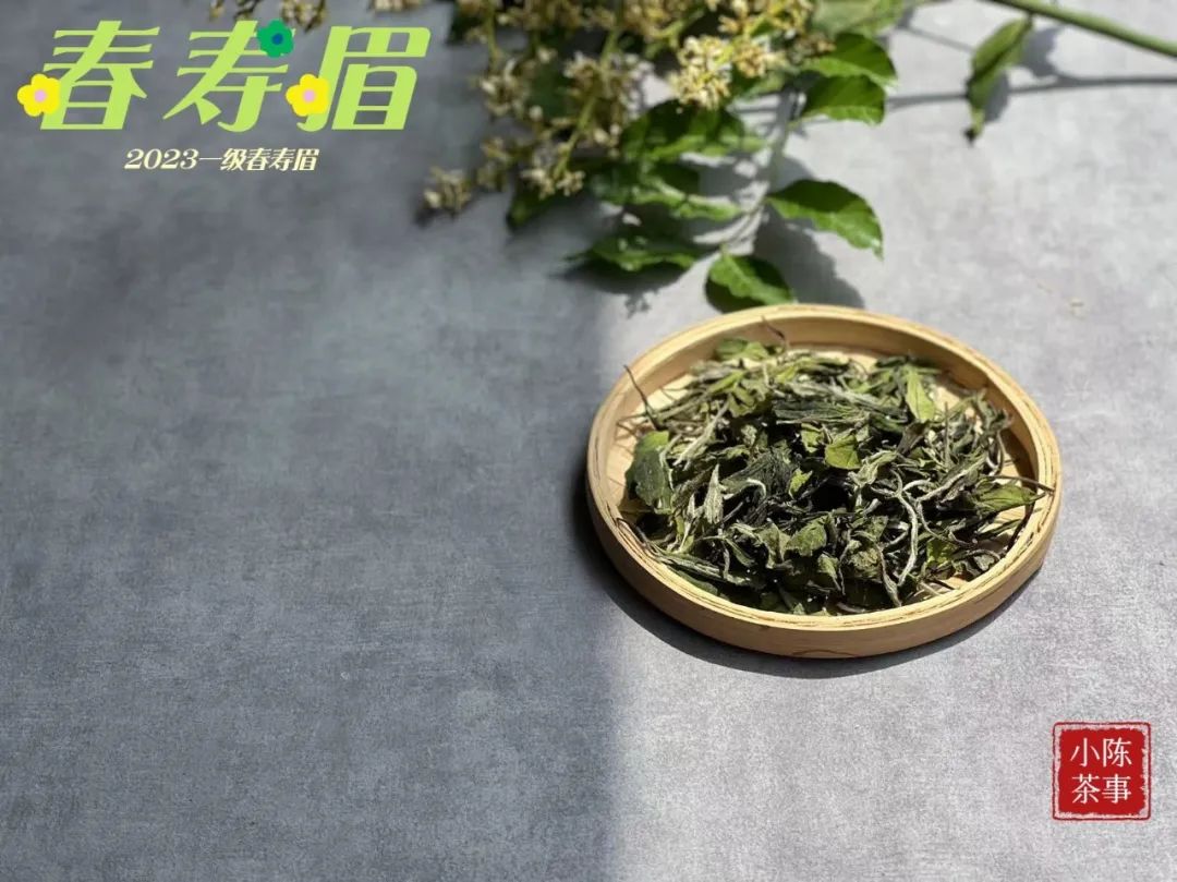 白茶寿眉好喝还是银针好喝,白茶寿眉和白毫银针