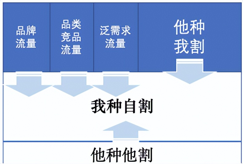 抖音b站小红书平台分析,公众号抖音小红书b站知乎区别