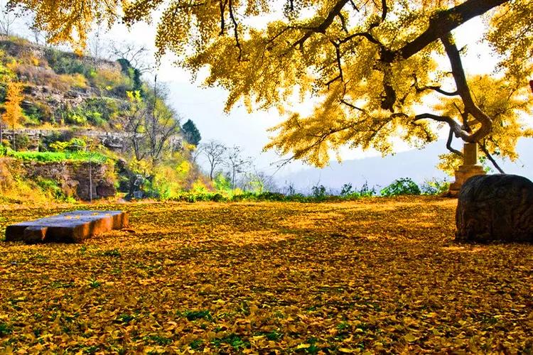 电建物业哪个最好,电建物业男生