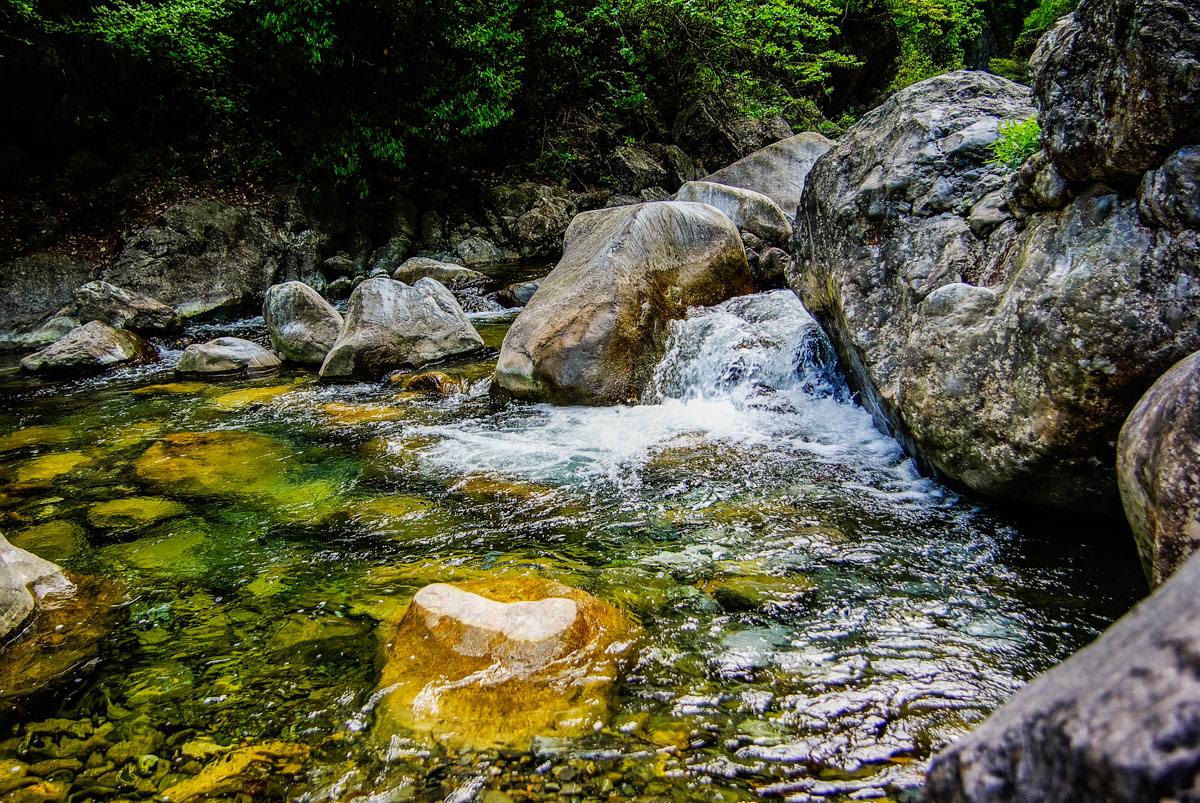 王维十首名诗鸟鸣涧,王维十首最好诗