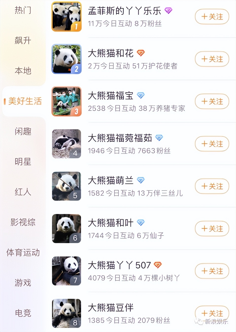 多少人关注丫丫,现在有多少人在关注丫丫