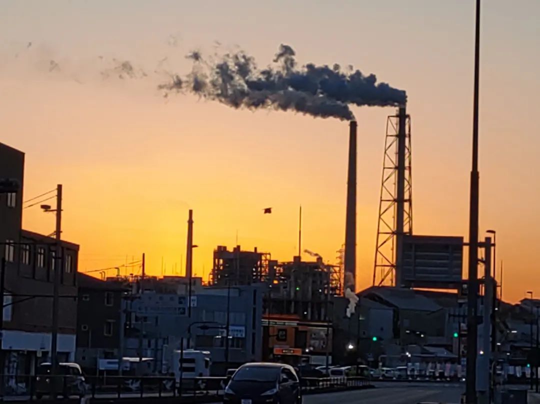 日本小哥回日本,日本小哥下班回家