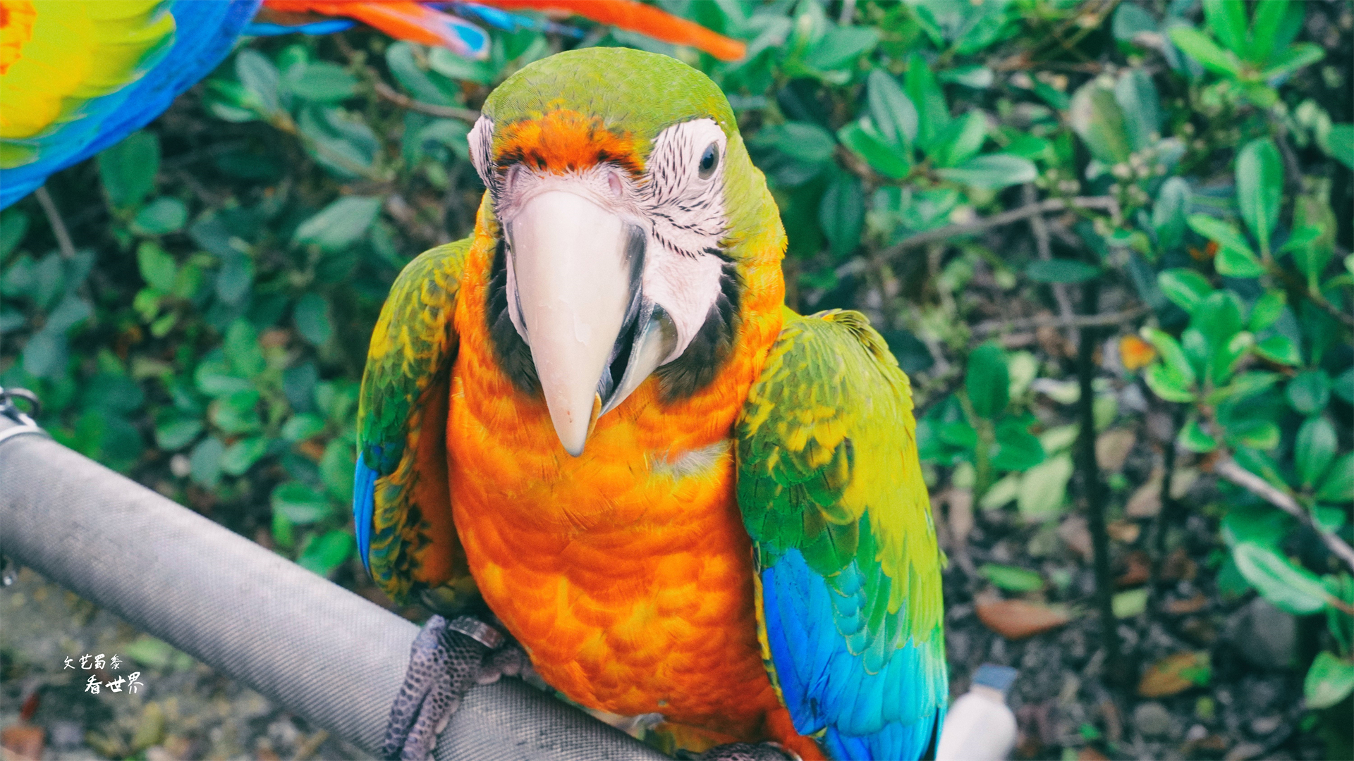 台湾最美十大美景,台湾景色最美的地方