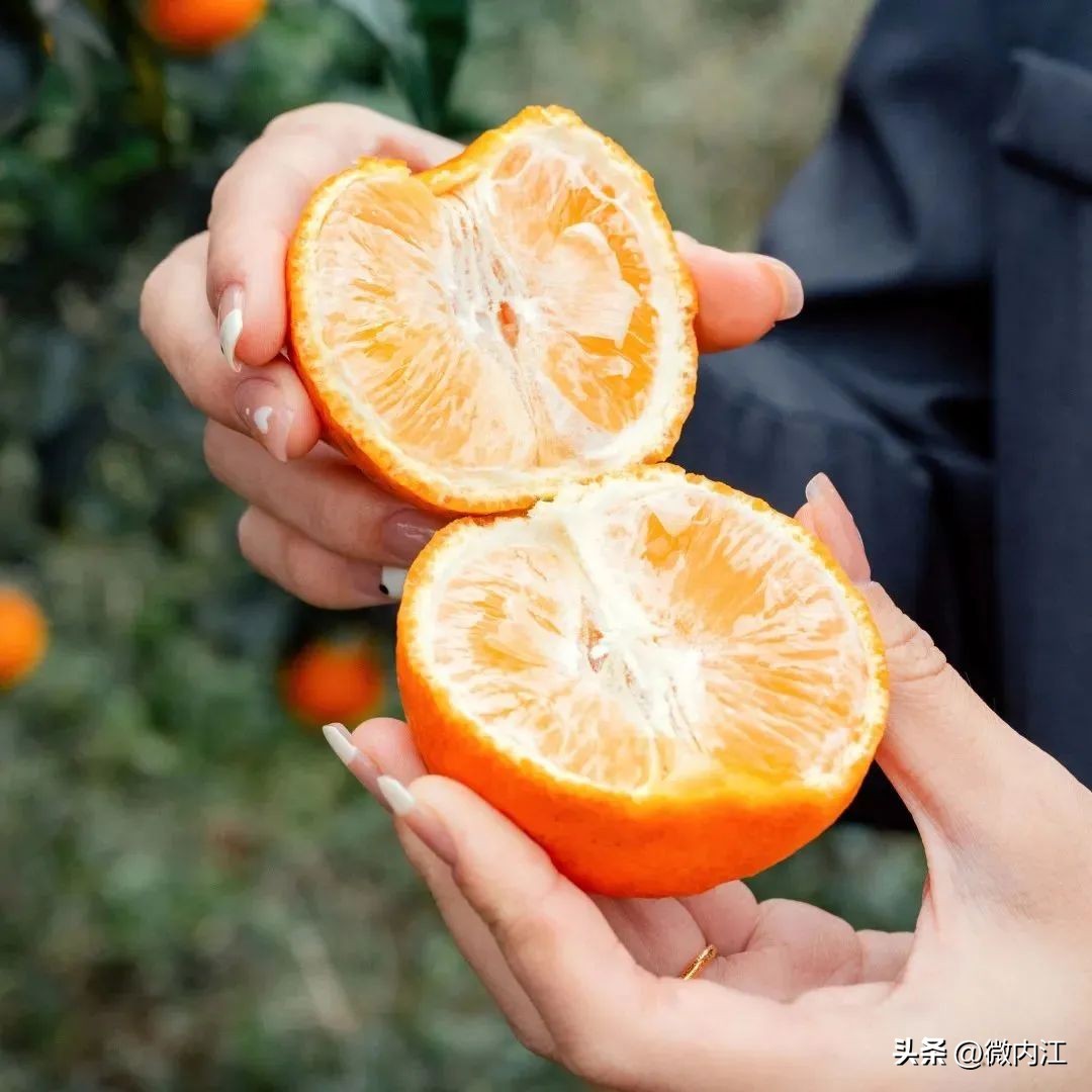 内江周边泡温泉的地方,内江好玩的地方森林公园