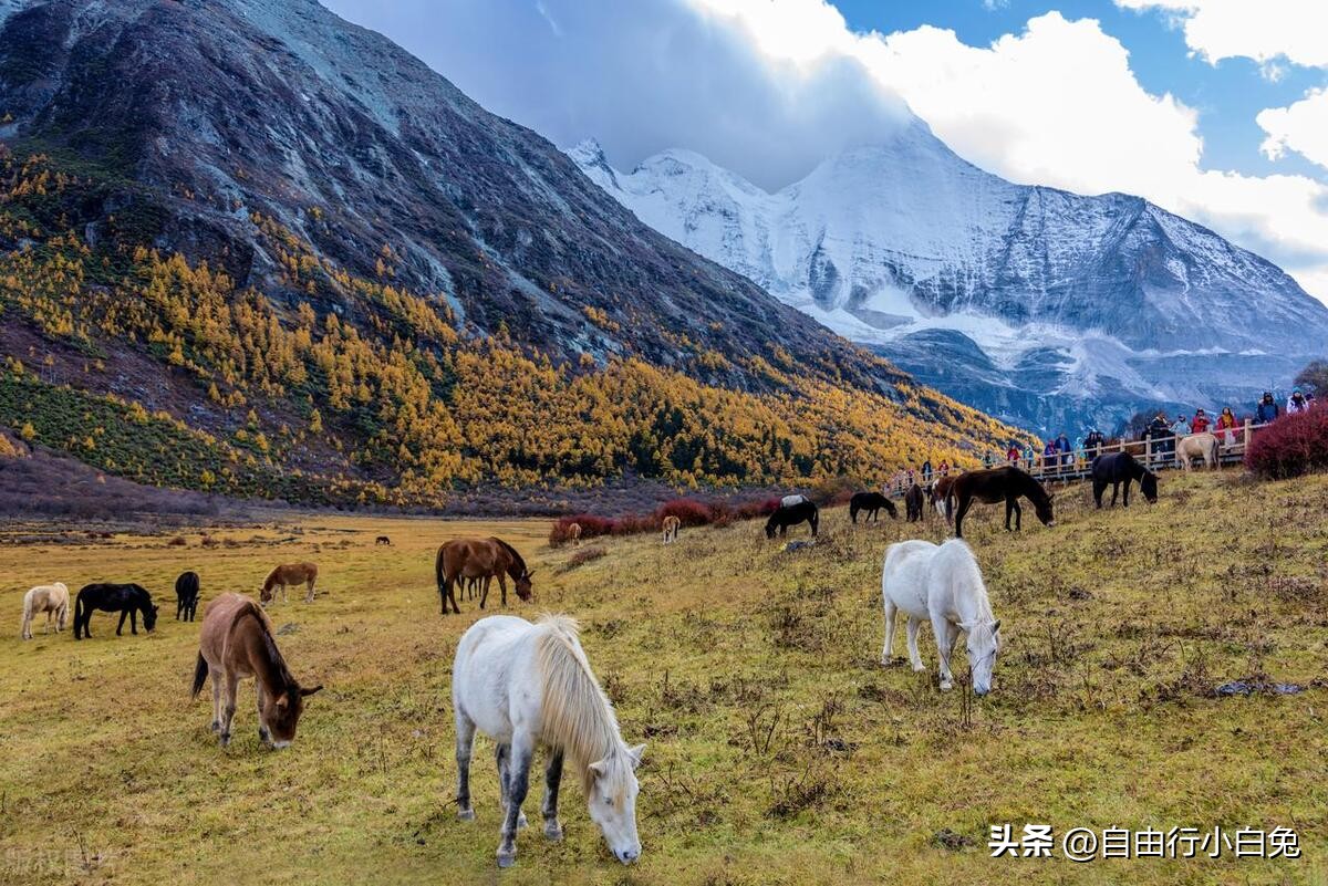 稻城亚丁自然保护区旅游攻略,稻城亚丁秘境视频