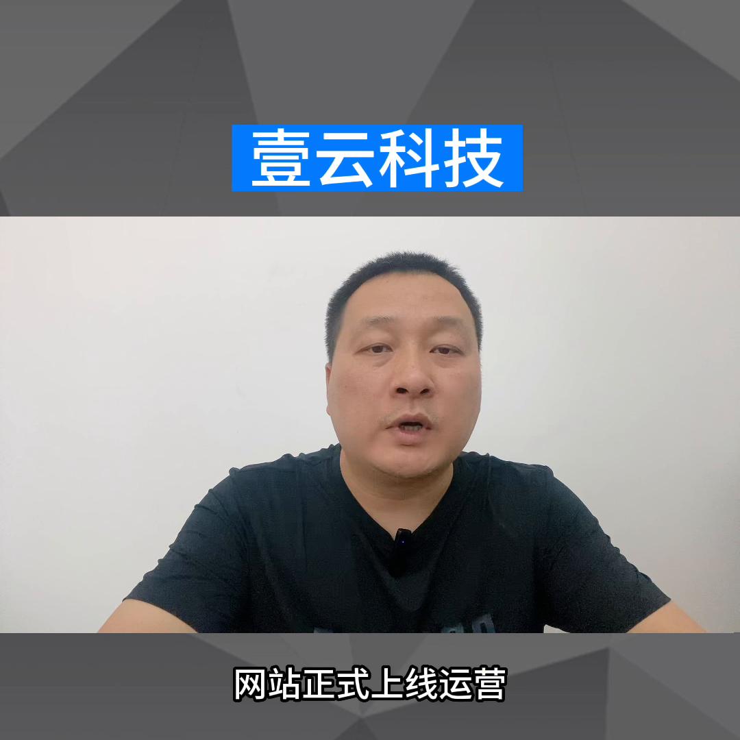 开发一个网站小程序,网站小程序开发公司有哪些