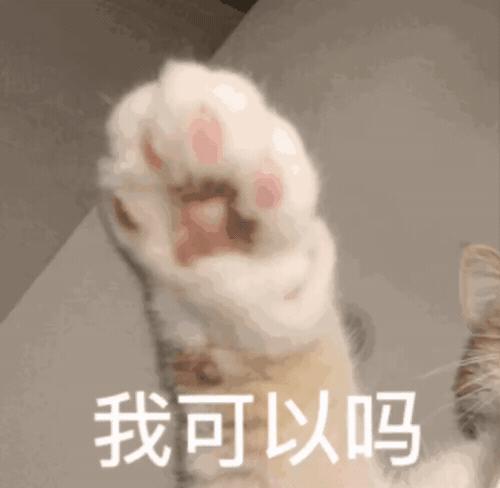 沙雕搞笑表情包头像,沙雕搞笑表情包图片静图