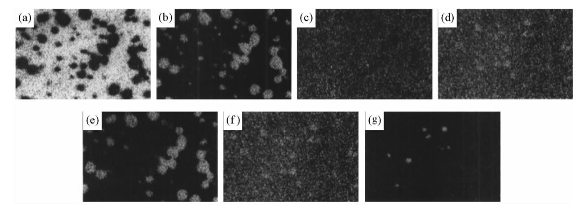 粉末冶金含油轴承用途,粉末冶金轴承的优缺点