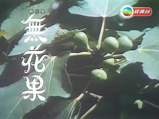 TvB历年电视剧系列,tvb历年电视剧列表