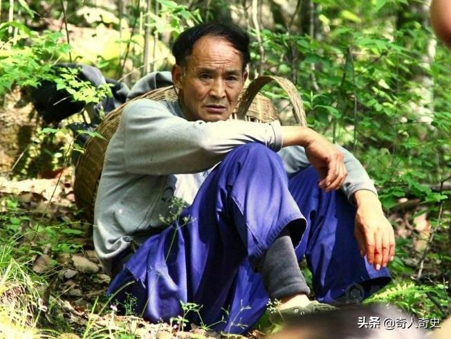 周正龙东北虎造假事件,周正龙养蜂致富