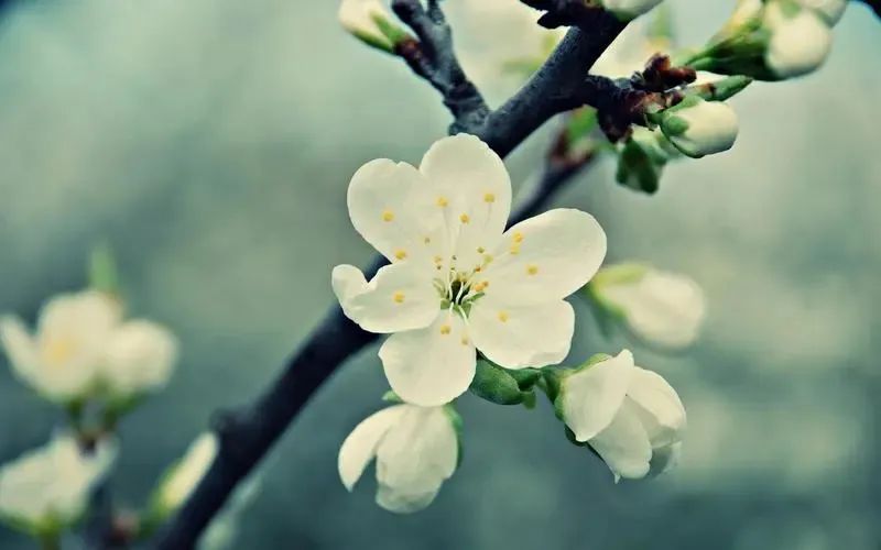 正能量句子励志经典语录简短,正能量短句励志语录大全