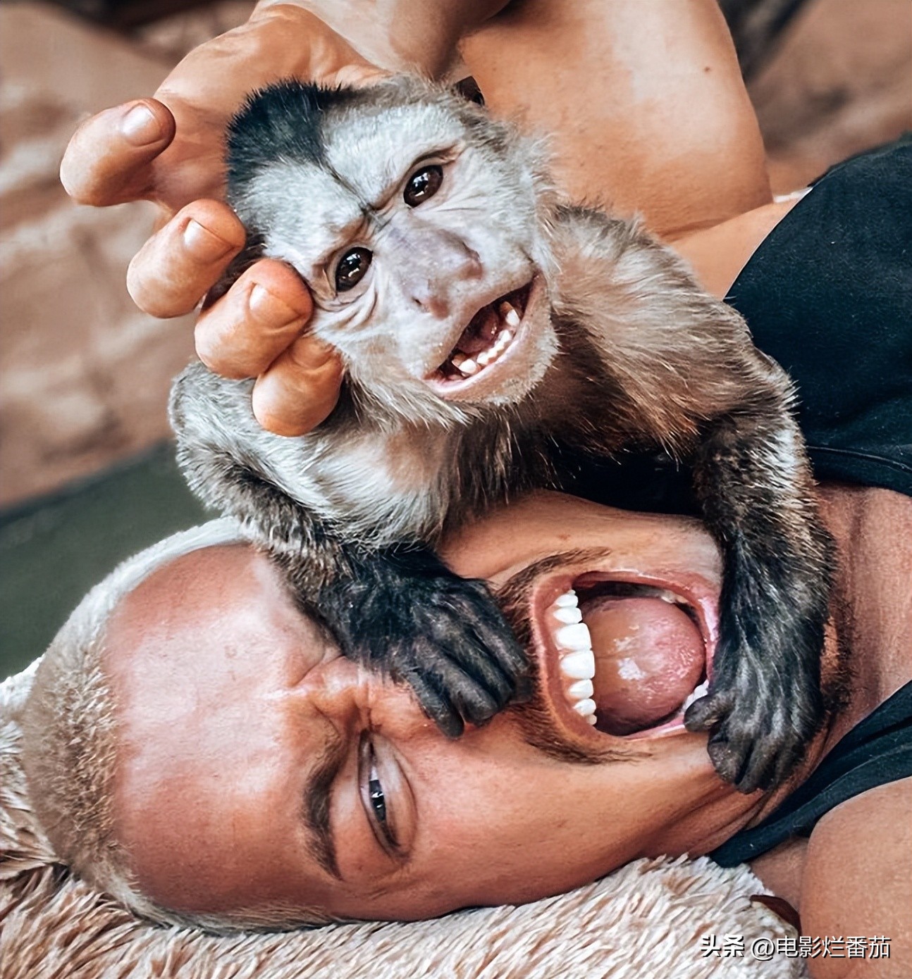 2019全球最帅面孔排行肖战,全球最帅100张面孔完整榜单肖战