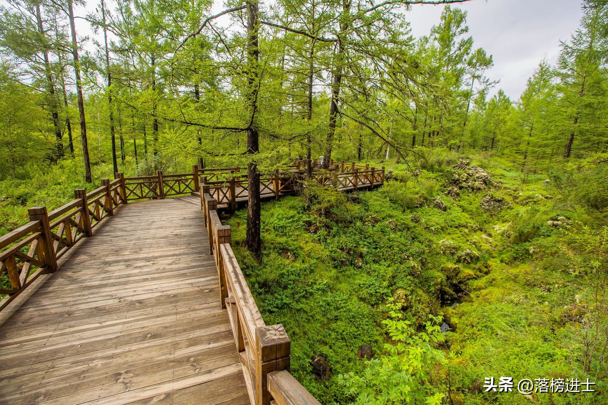 内蒙古阿尔山旅游风景,内蒙古阿尔山森林公园图片和介绍