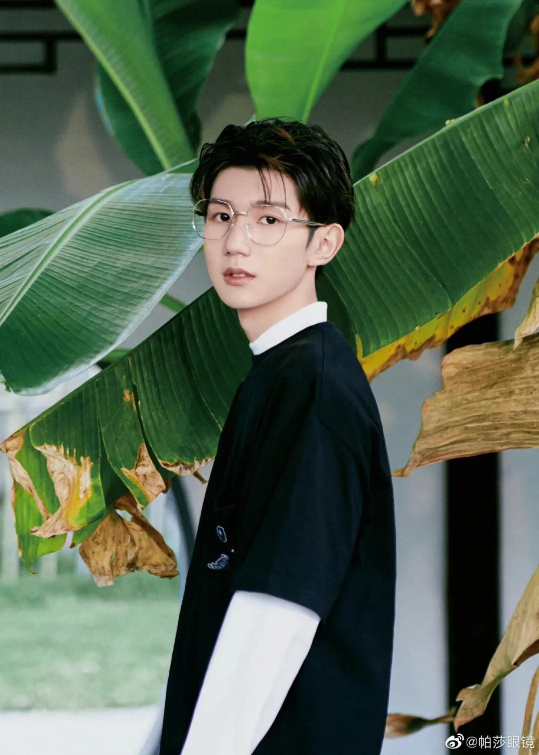 王源眼镜帕莎多少钱,帕莎眼镜王源