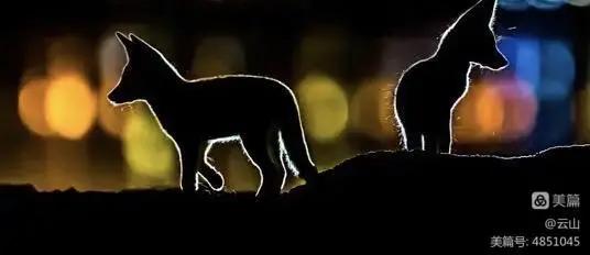 画意风光,画意风光摄影