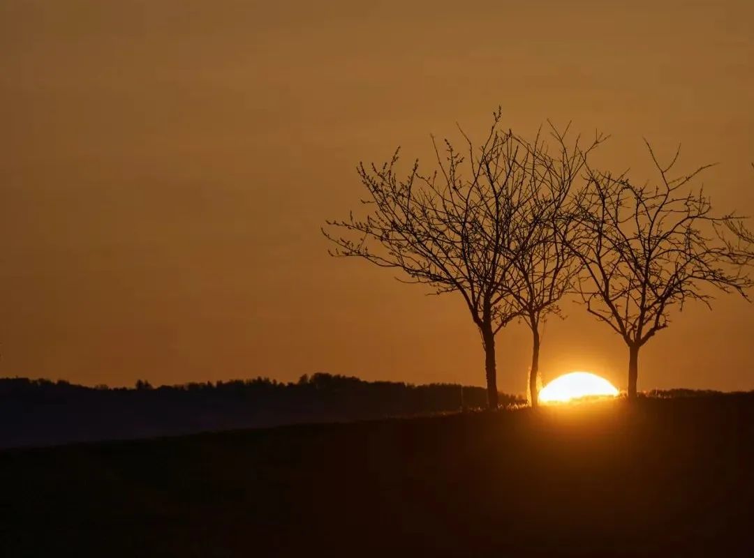 刘丰老师生命的最高境界,人生境界刘丰老师