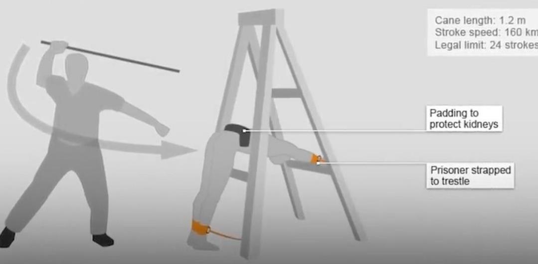 勇敢女生视频,勇敢女孩的自救