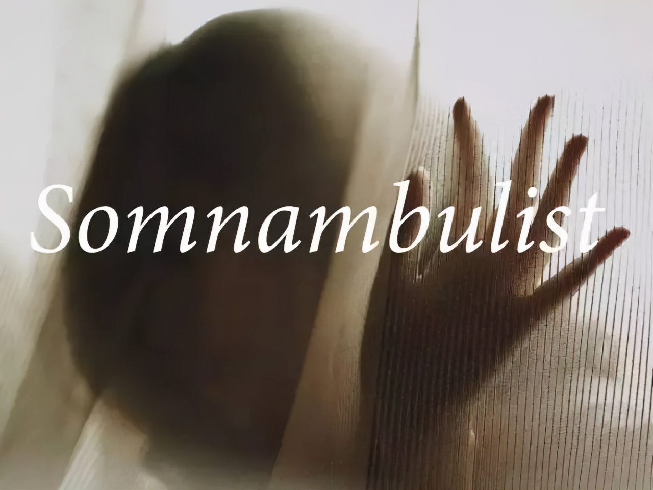 23个英语词,23个英语字母表图片