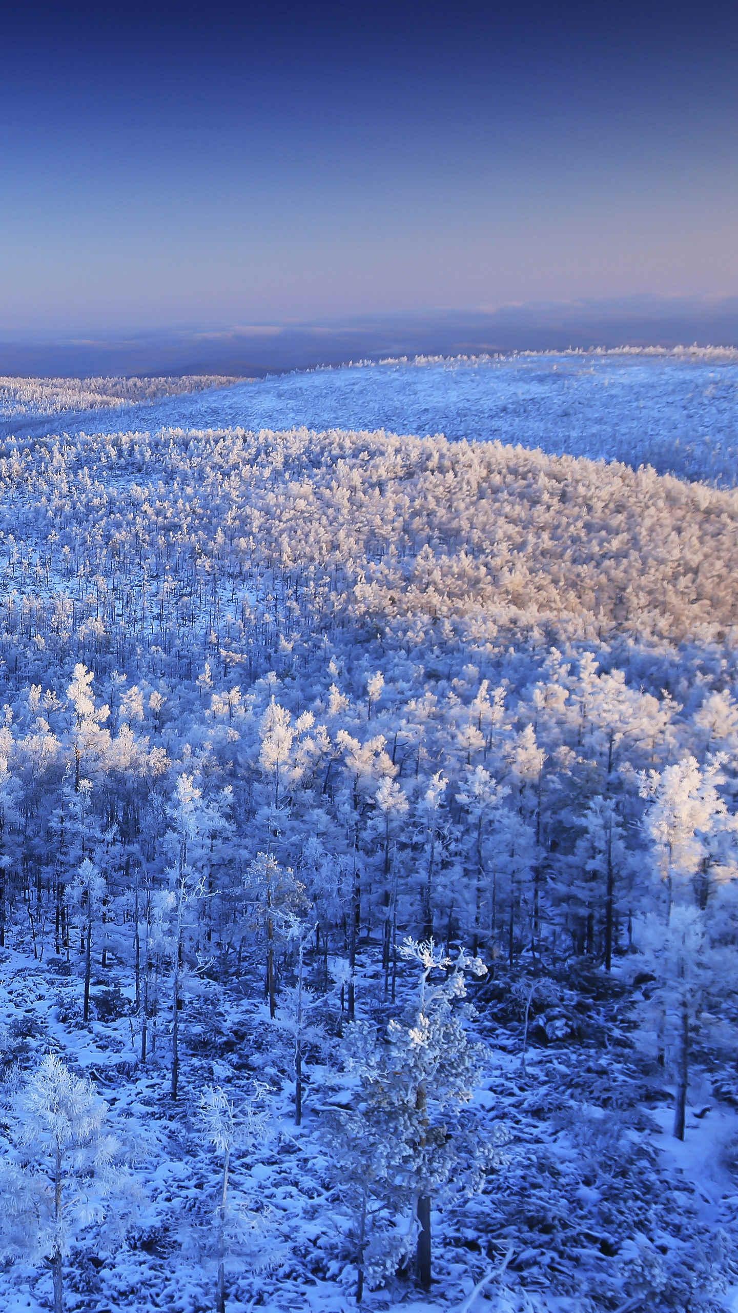 中国最美风景壁纸草原风景竖屏,山水风景1080*1920高清竖屏壁纸