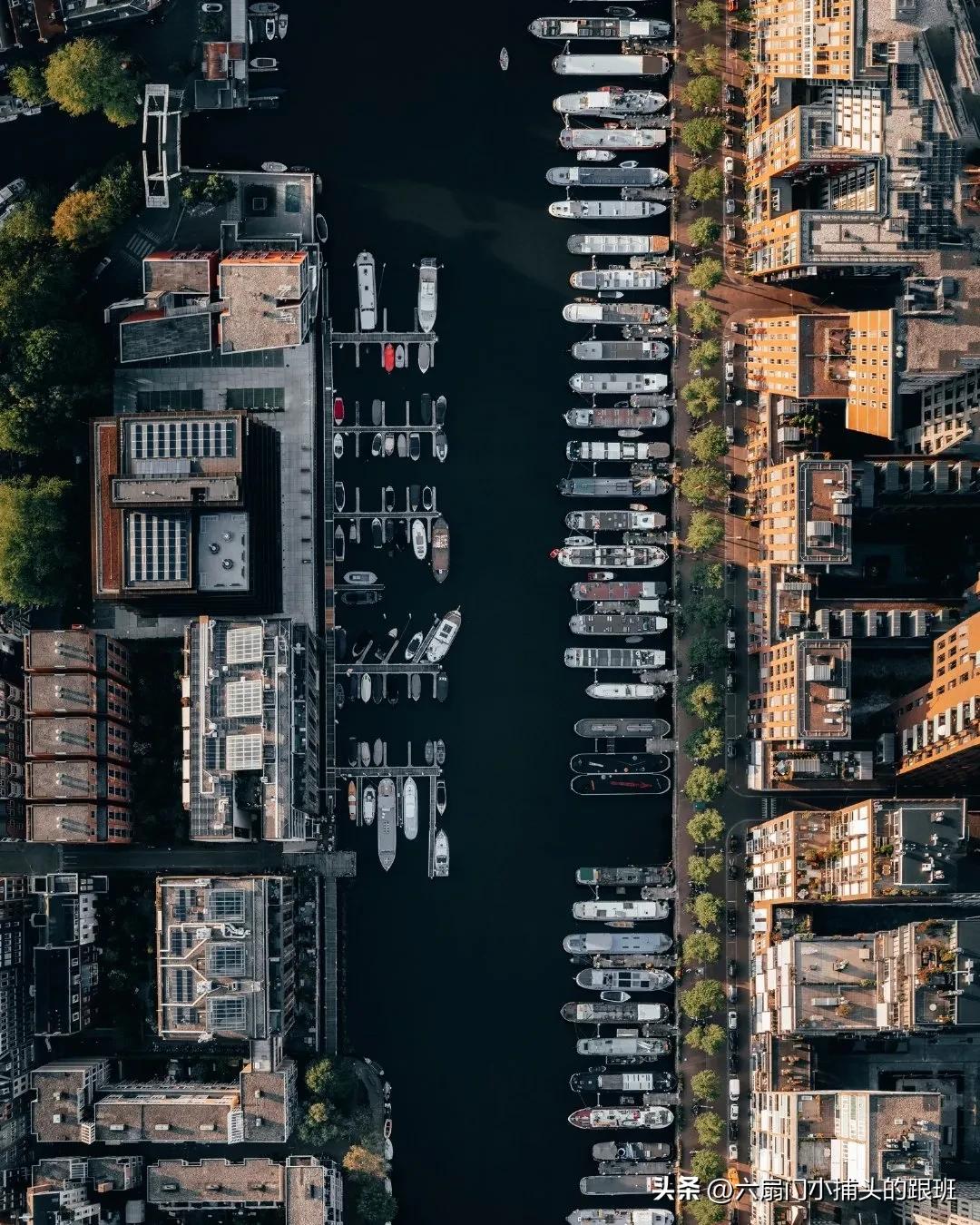 懂懂日记公众号,懂懂日记全集解说