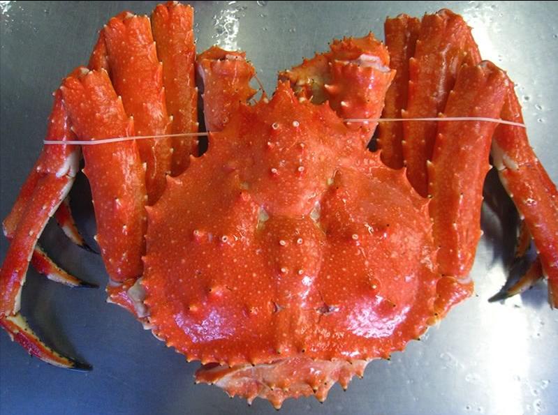 去日本必吃的五种海鲜,到日本必吃的饕餮美食