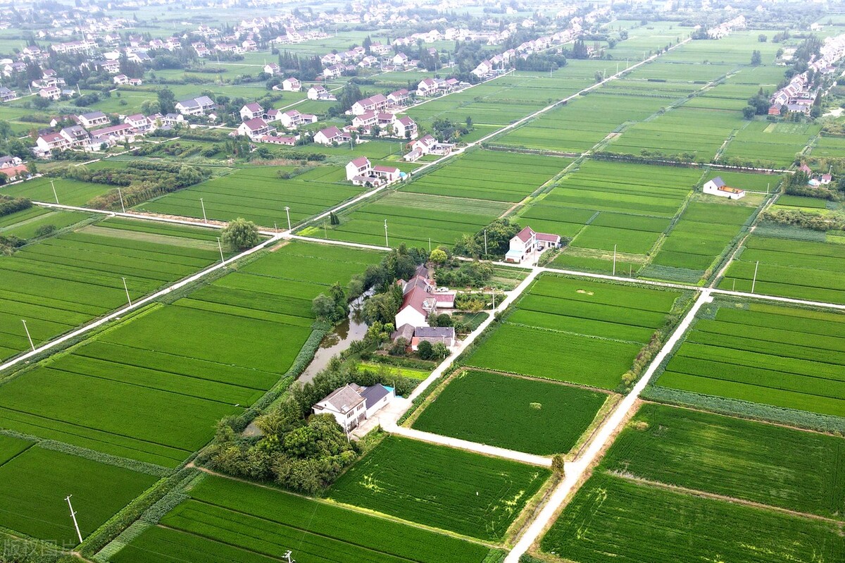 国家对耕地保护的三条红线,严守耕地红线严禁耕地非农化