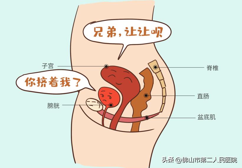 漏了,松了,还很疼?你还觉得产后康复没有必要吗?