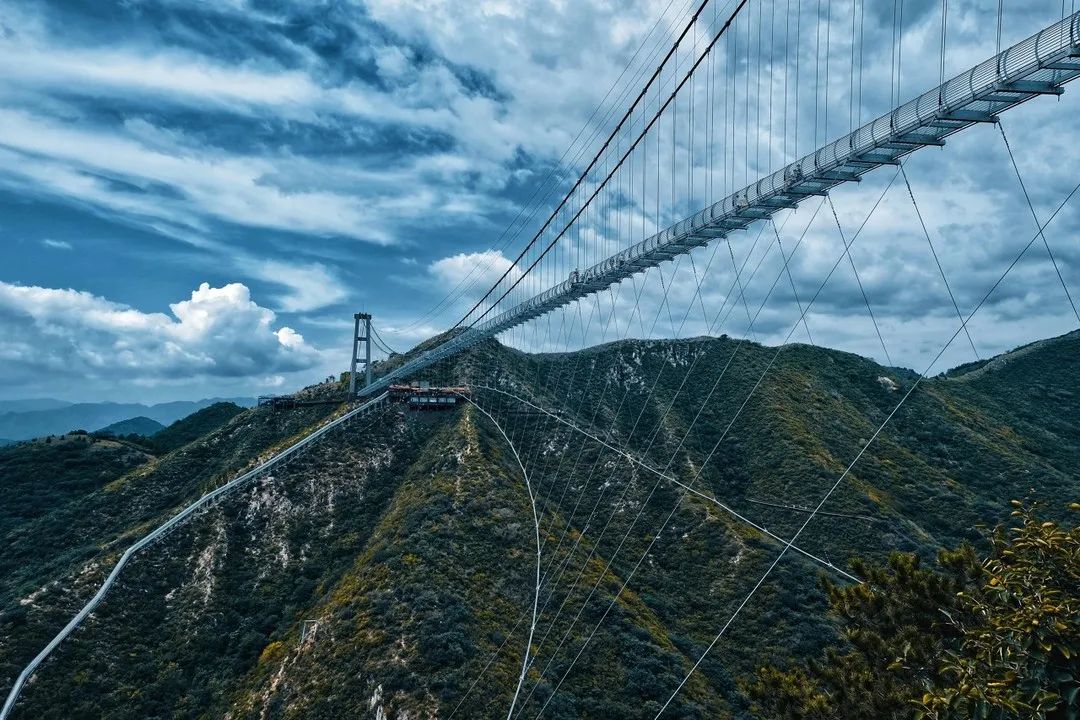 折扣半价,半价免费用英语怎么说