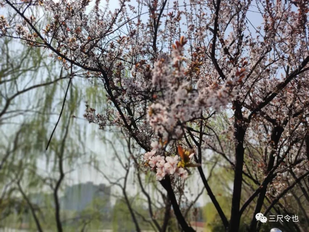 消费者诉讼维权小知识,生活中的四种消费者维权