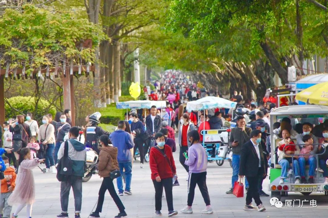 春节厦门,春节去厦门