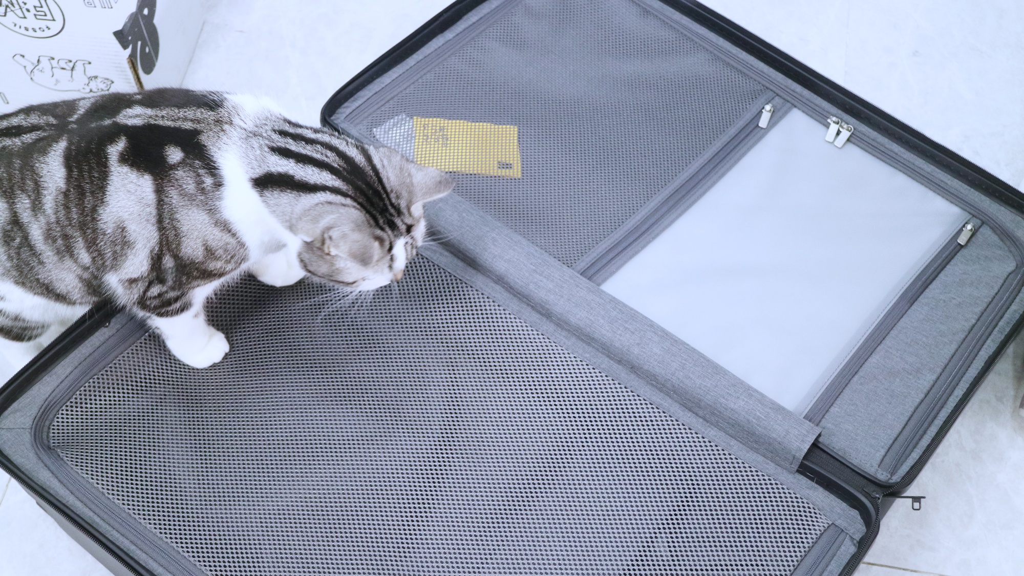 地平线8号行李箱和漫游旅行箱,地平线8号大旅行家系列行李箱