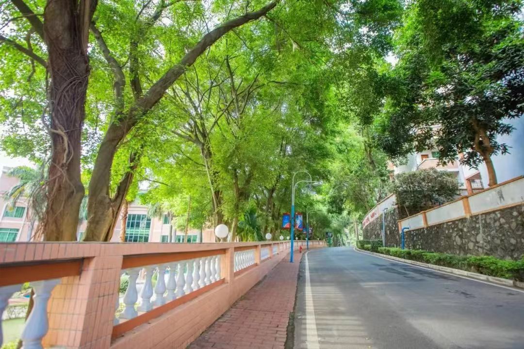 当教师一年存款,在南方当老师能一个月50万吗