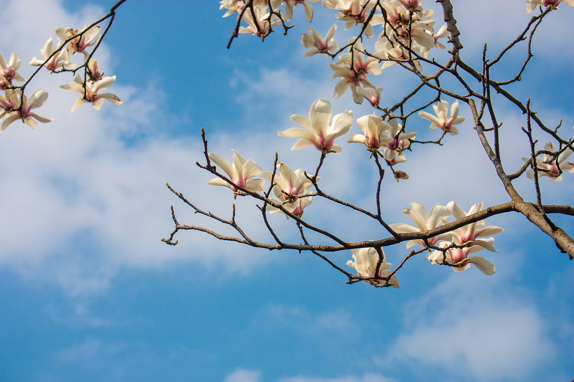 做人要闷声发大财,做人要狠要学会闷声发大财