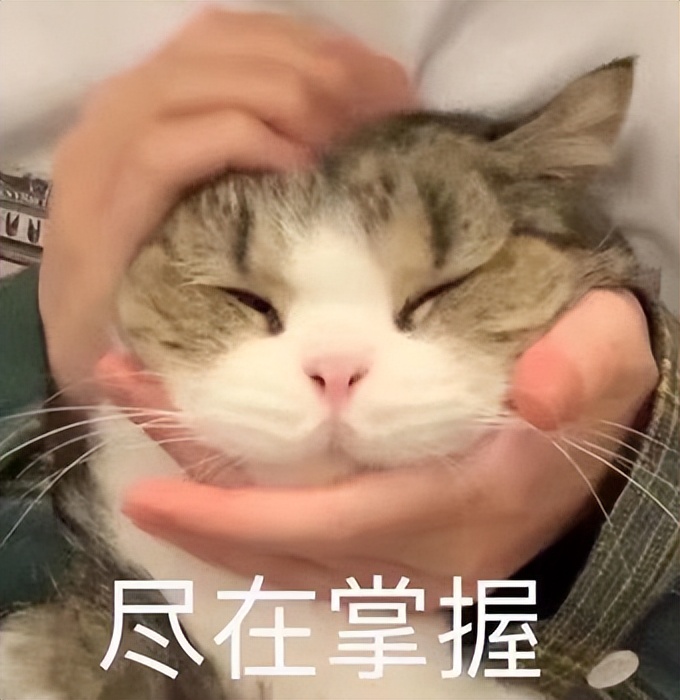 法考客观题多选题和不定项,法考客观题各法知识点