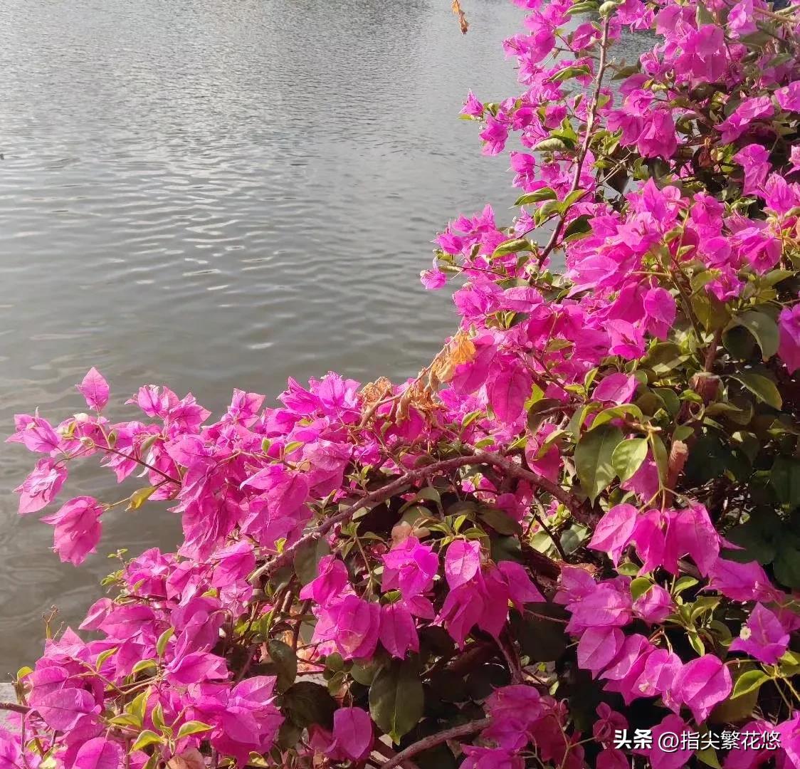 在厂打螺丝日常生活,打螺丝厂打工的真实生活