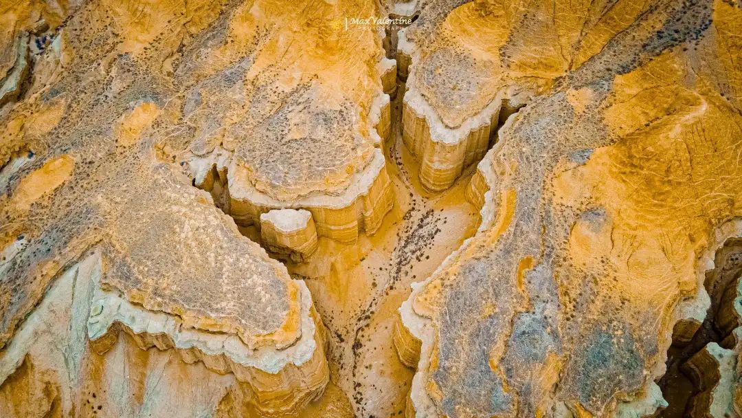 全世界仅存三处！一年只美21天！这场“黄金盛宴”，只因它而起