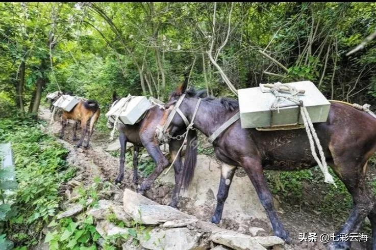 攀登武当山的马邦