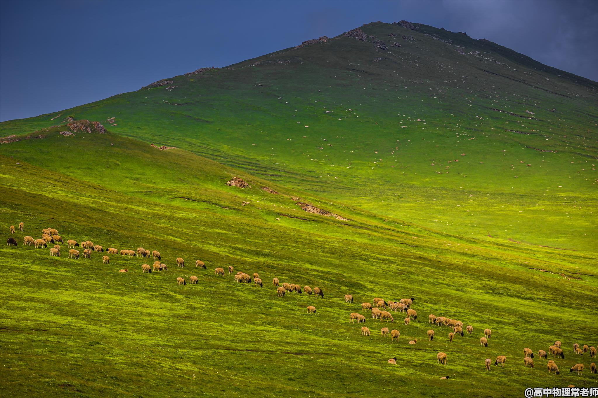 鐙簱鍏矾鐜枂鍗楀寳,鐙簱鍏矾淇￠┈娓哥枂