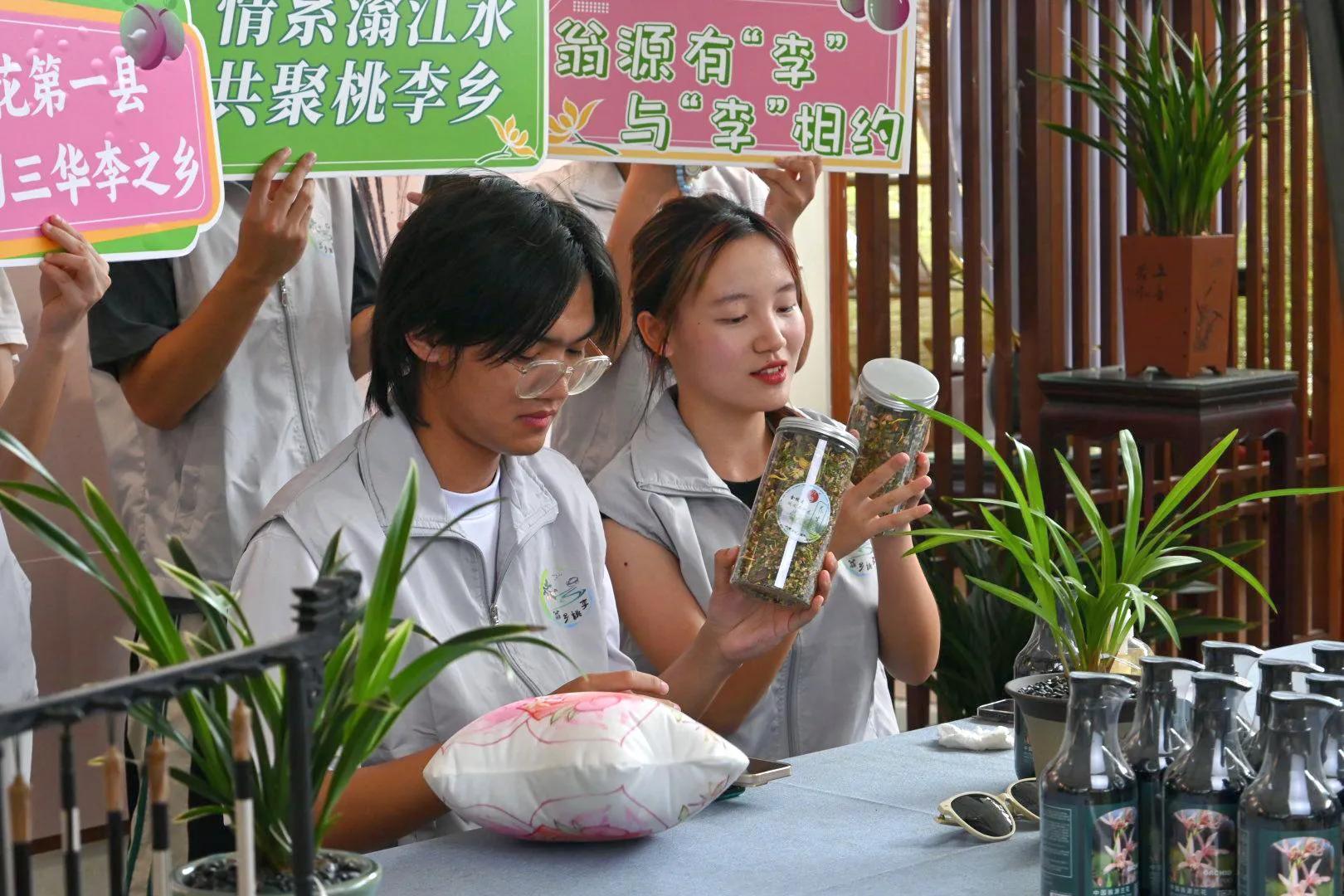 电商助文创：佛山科学技术学院“翁乡桃李”实践队探兰花培育基地