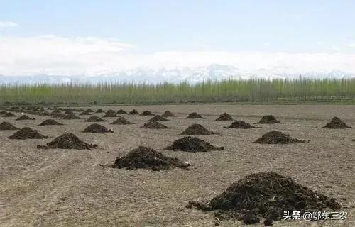 农田镉超标怎么治,农田中重金属含量过高怎么办