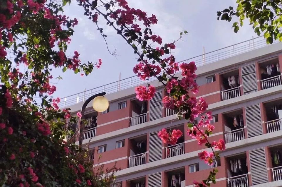 欢迎乘坐观光游览车,欢迎乘坐观光巴士语音