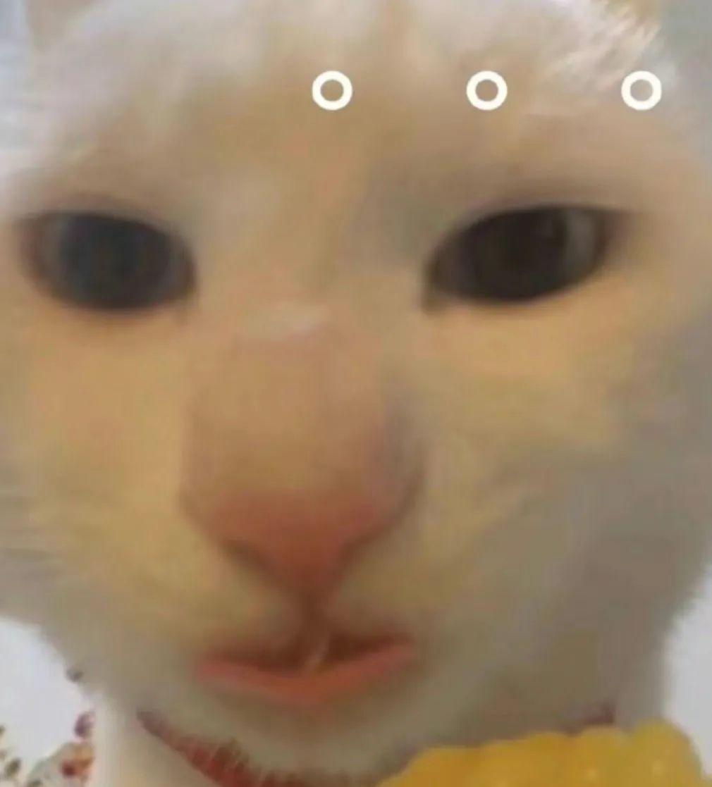 要礼物表情包,表情包给我抱抱