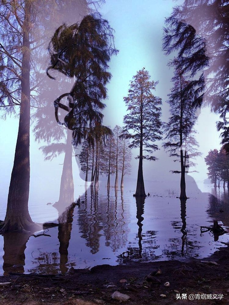 为艺术多一次曝光