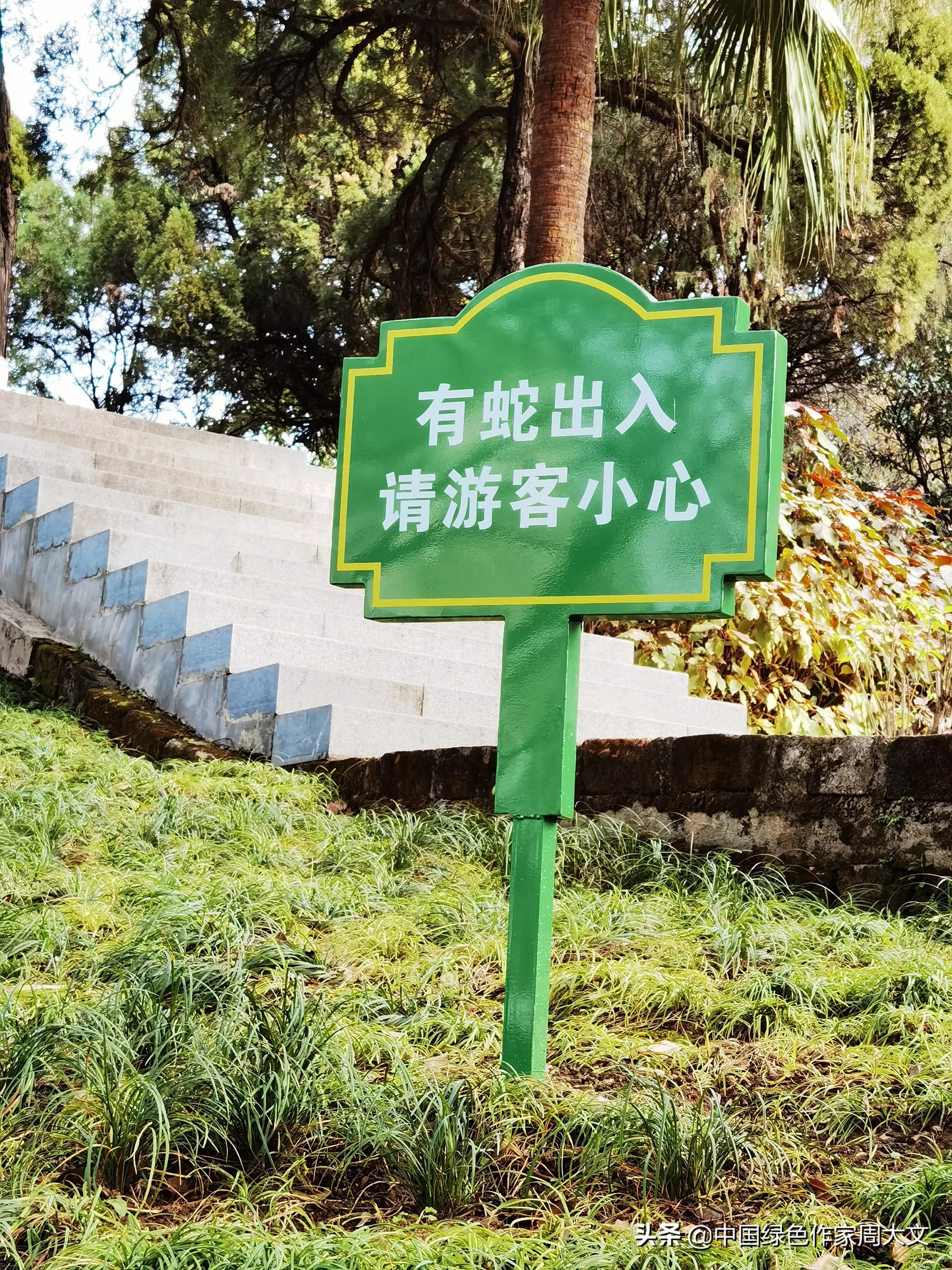 中山市公园有蛇,龙岩中山公园有蛇吗
