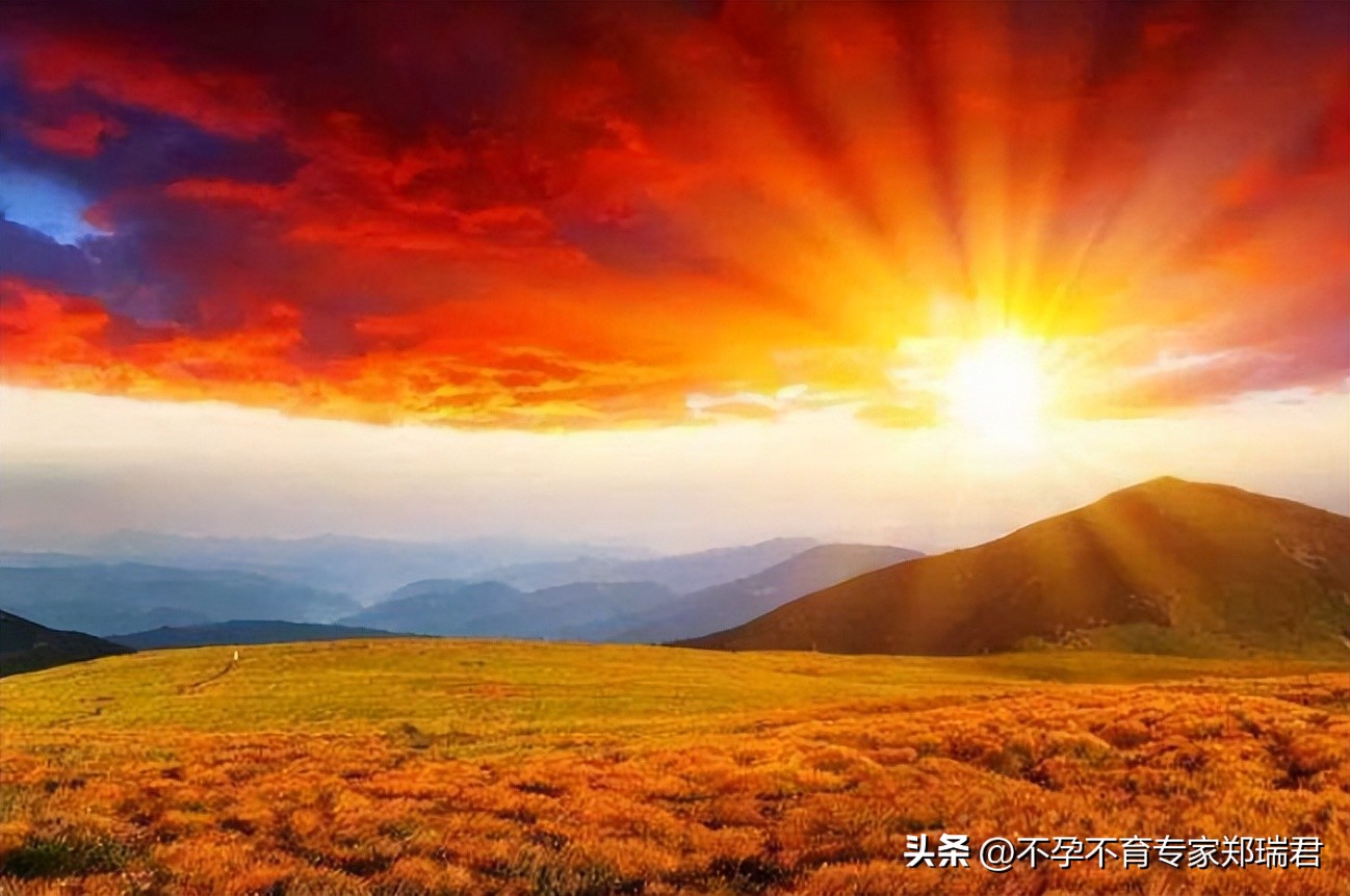 怎么才能让卵巢不衰老,让高龄女性恢复卵巢中药土方法