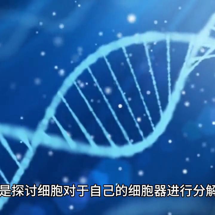 人参皂苷的抖音,人参皂苷直播间