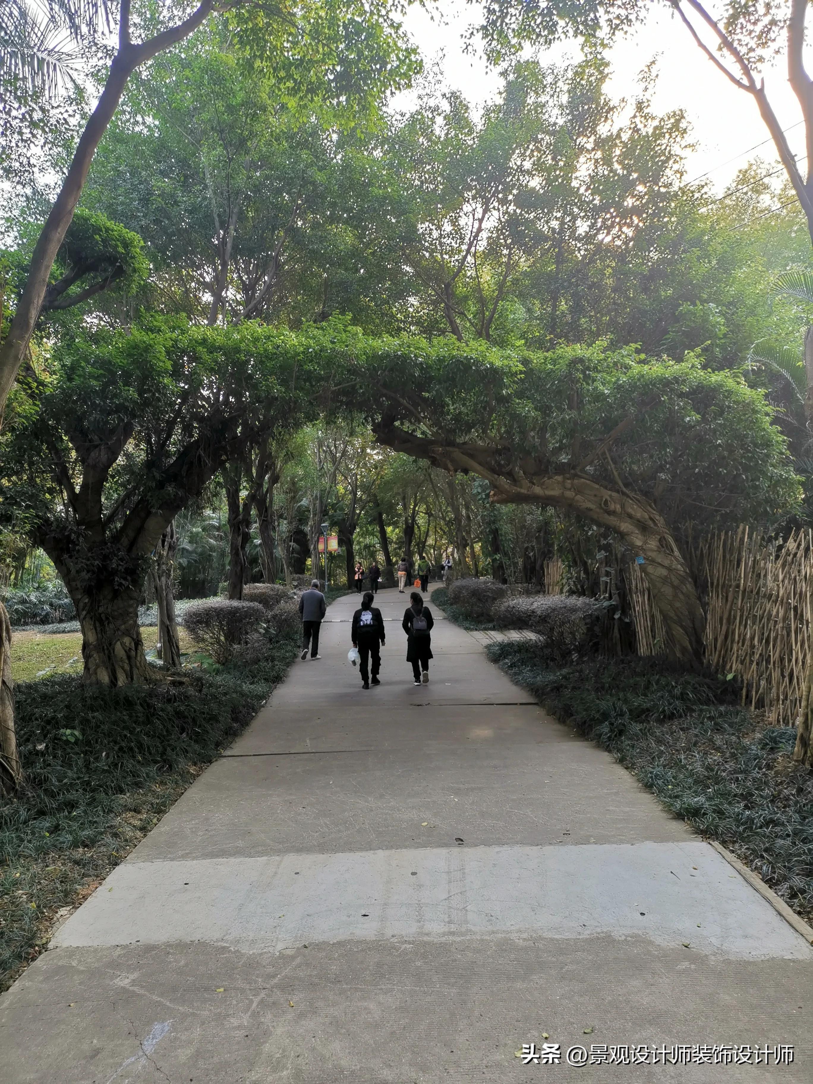 南宁市狮山公园办公区,南宁市狮山公园地址