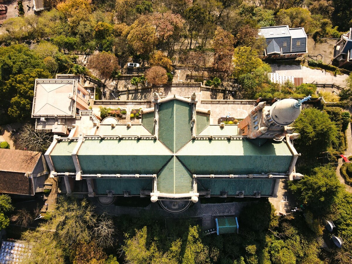 秋日上海好去处,上海秋日风景