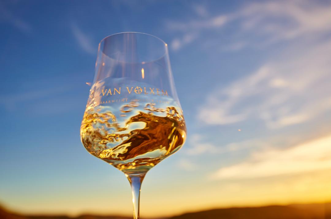 雷司令生日,雷司令2017