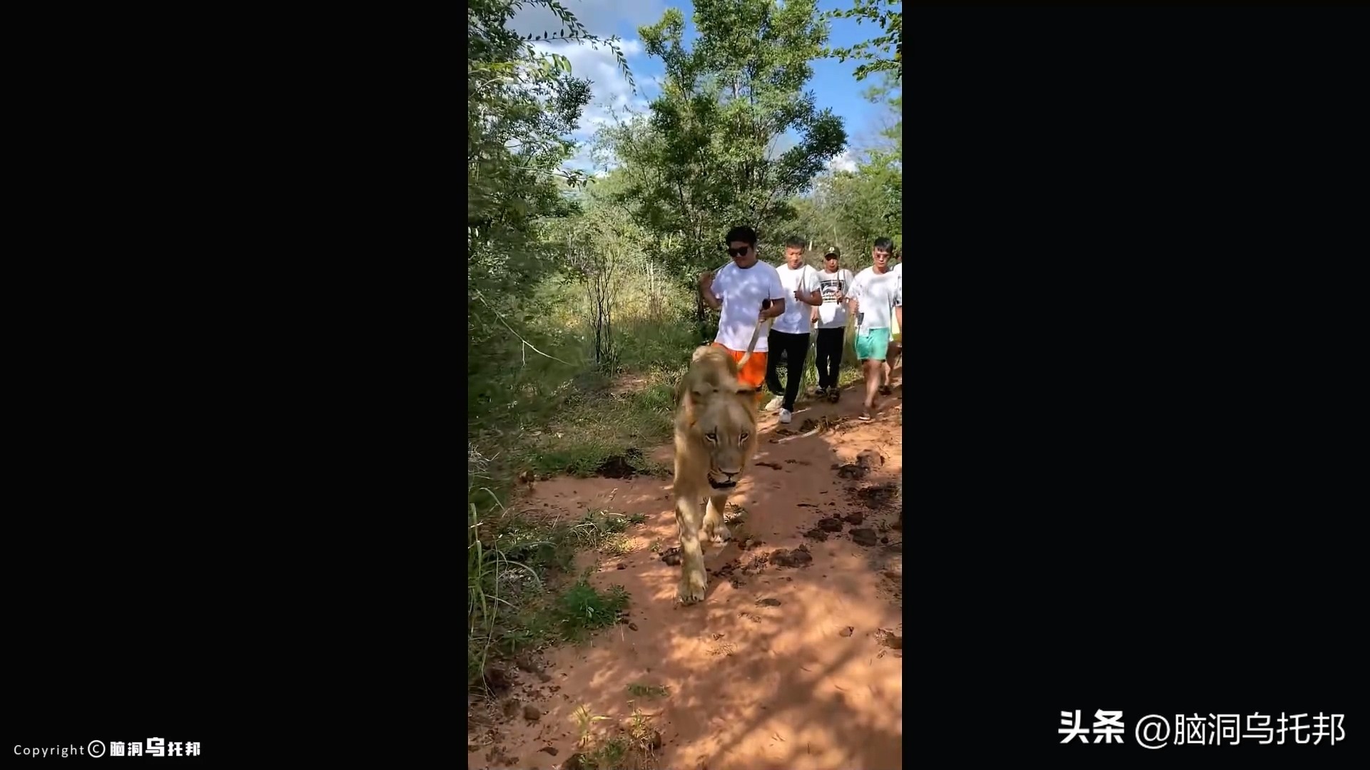 「小胖闯非洲」直播途中遇害！原因曝光震惊全网！有何深仇大恨？